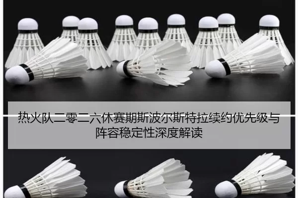 热火队二零二六休赛期斯波尔斯特拉续约优先级与阵容稳定性深度解读